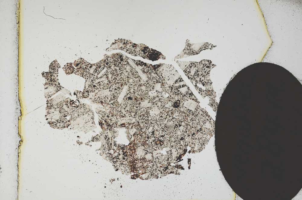 Plane Polarized, S11990/A