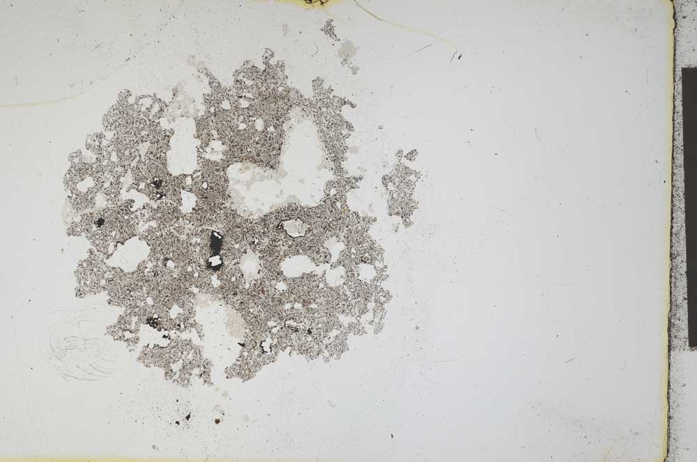 Plane Polarized, S11991