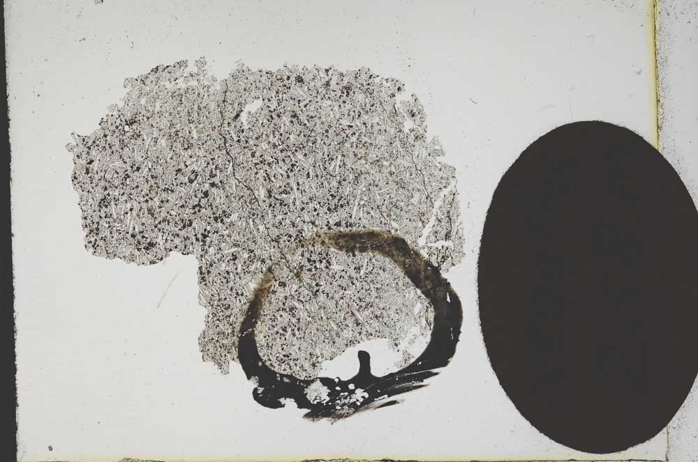 Plane Polarized, S11993