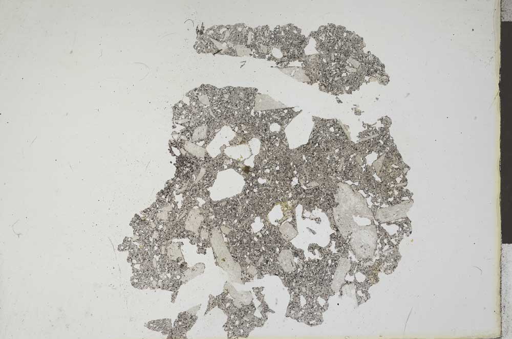 Plane Polarized, S11995