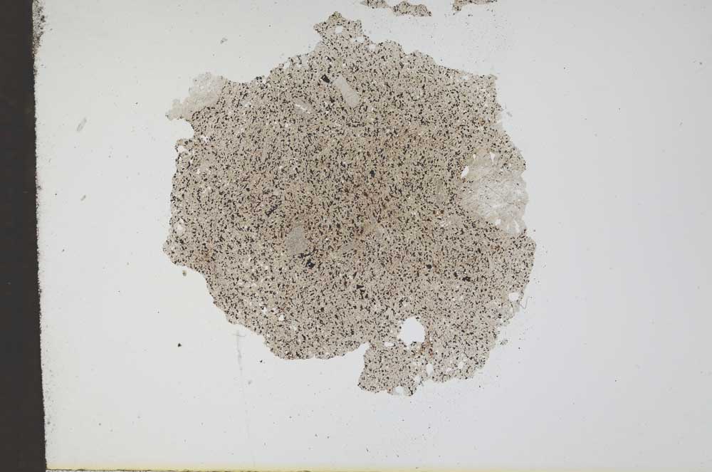 Plane Polarized, S11996