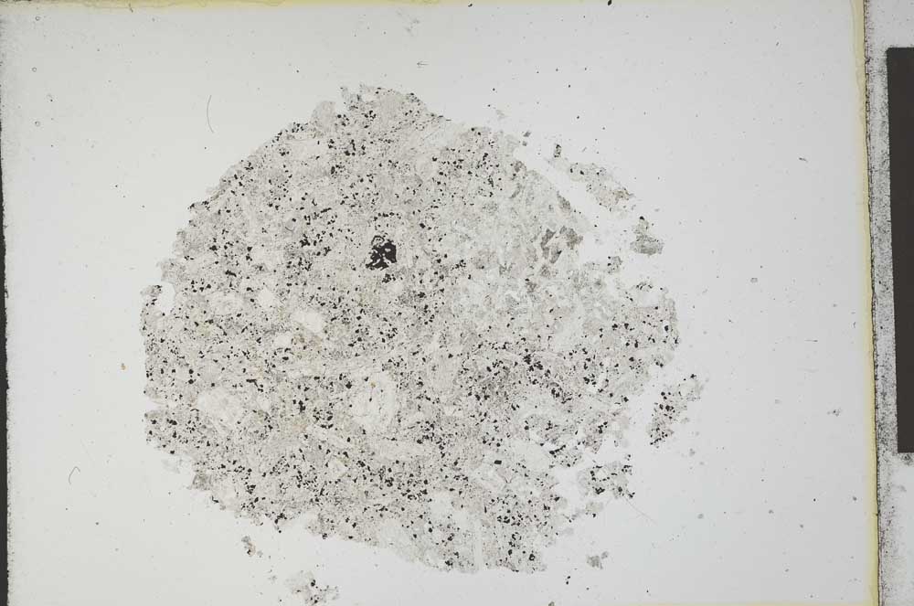 Plane Polarized, S12000