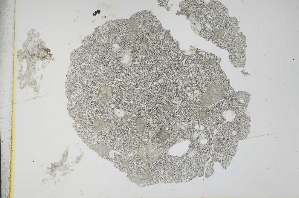 Plane Polarized, S12005