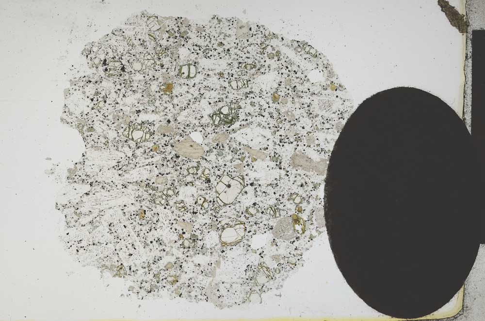 Plane Polarized, S12013