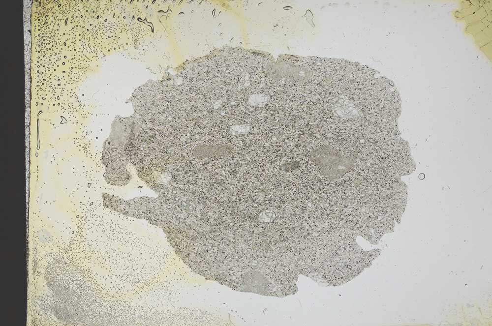 Plane Polarized, S12031