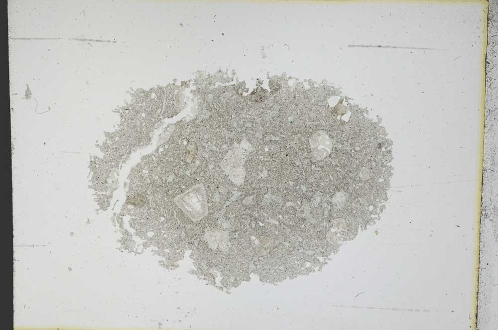 Plane Polarized, S12032