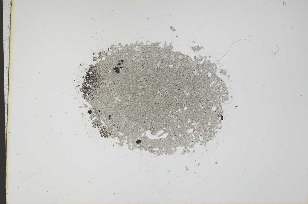 Plane Polarized, S12042