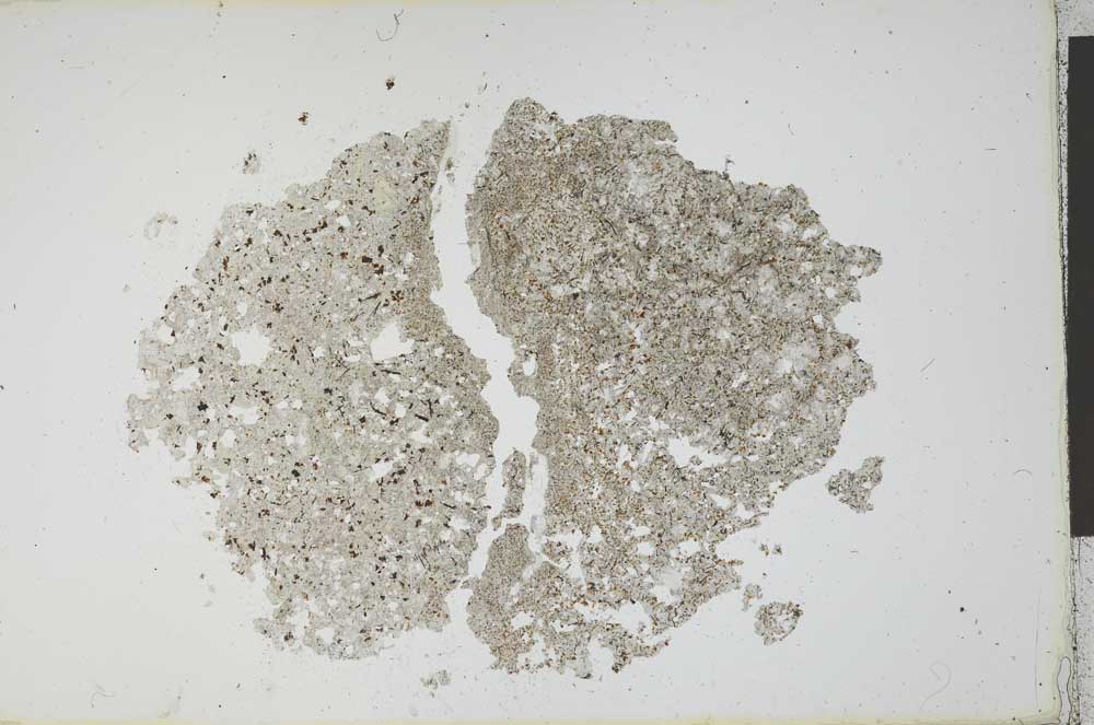 Plane Polarized, S12049