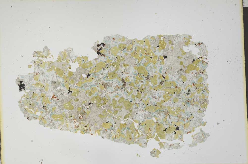 Plane Polarized, S12050