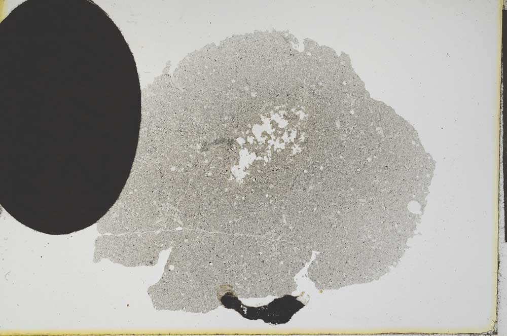 Plane Polarized, S12058