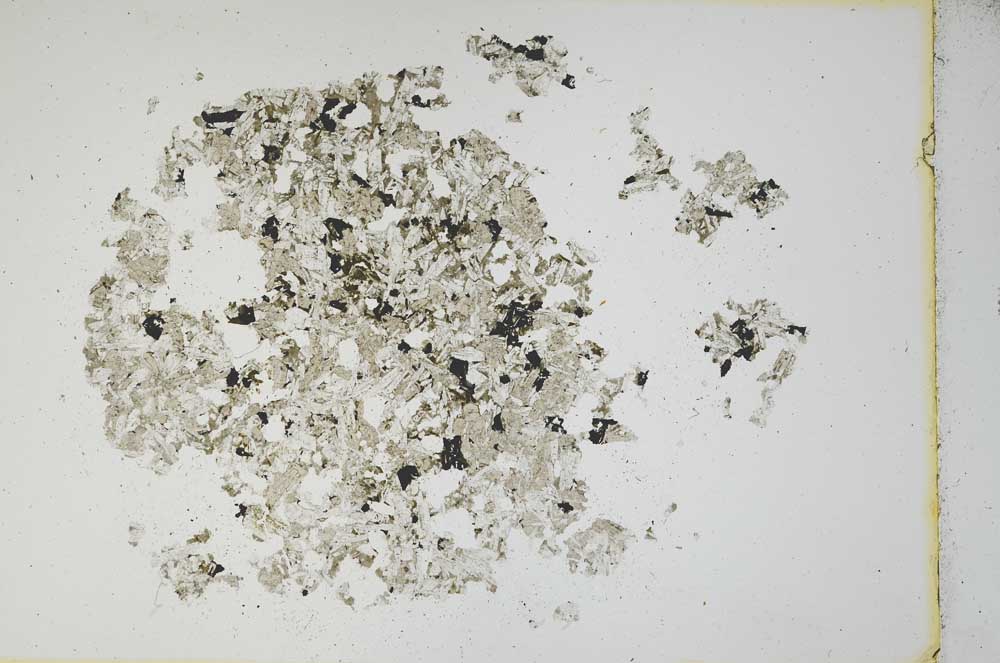 Plane Polarized, S12059