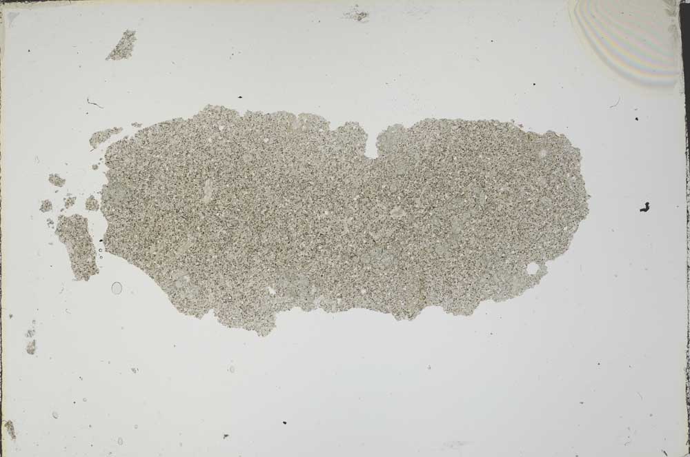 Plane Polarized, S2175