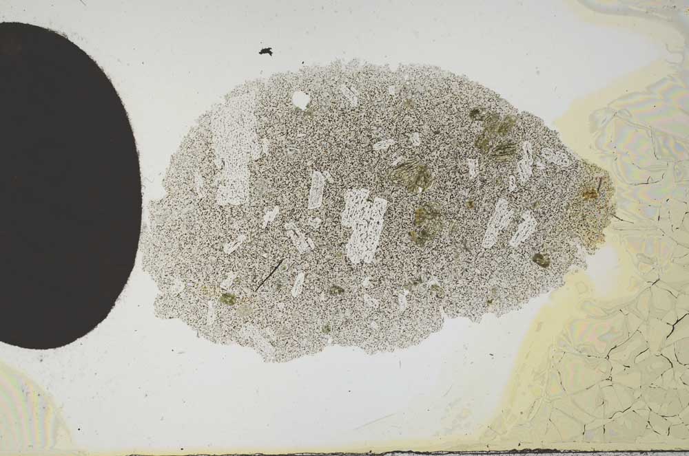 Plane Polarized, S2176