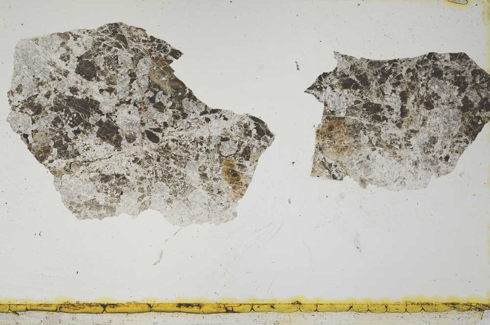 Plane Polarized, S2193