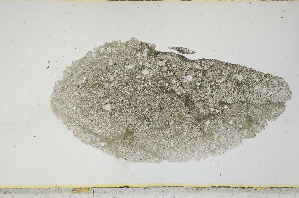 Plane Polarized, S2194