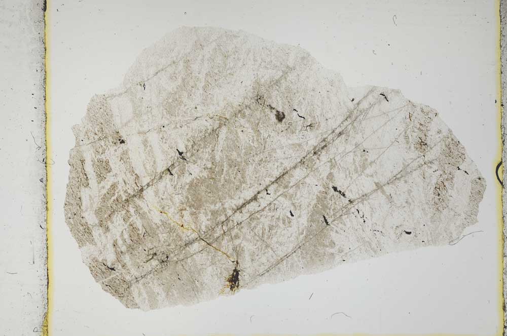 Plane Polarized, S2198
