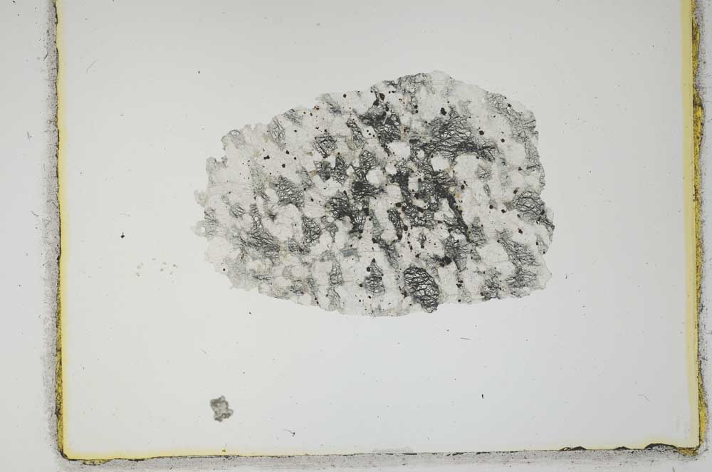 Plane Polarized, S2216
