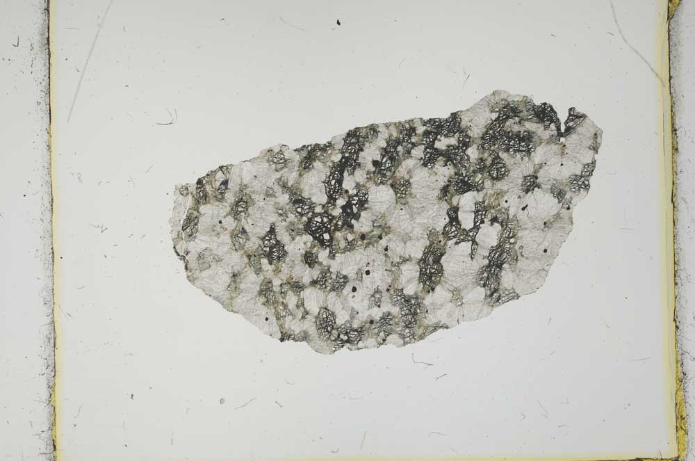 Plane Polarized, S2217