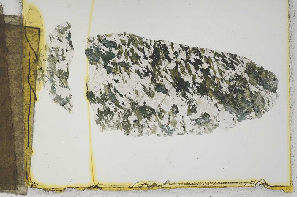 Plane Polarized, S2223