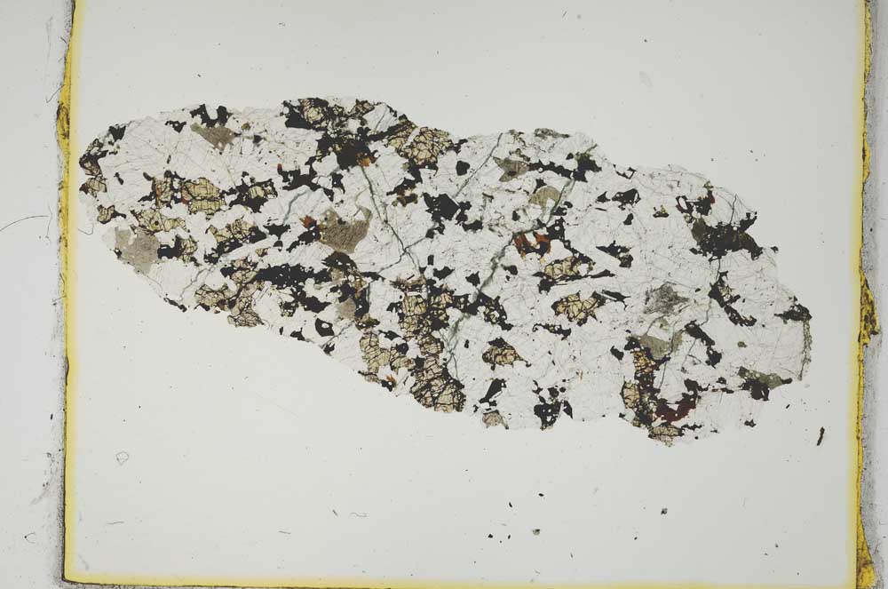 Plane Polarized, S2229