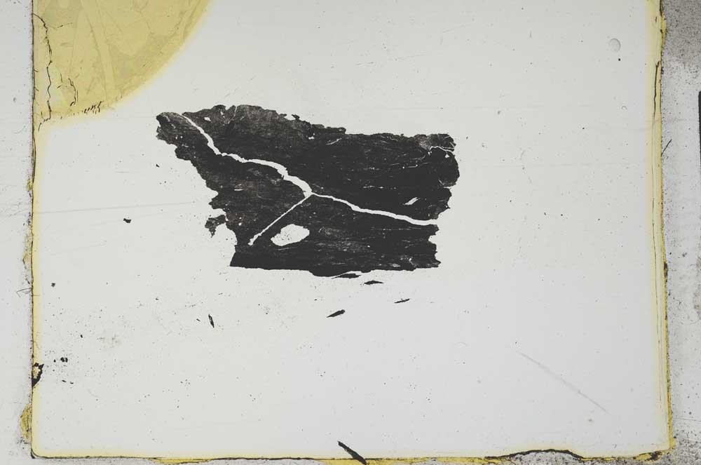 Plane Polarized, S2254