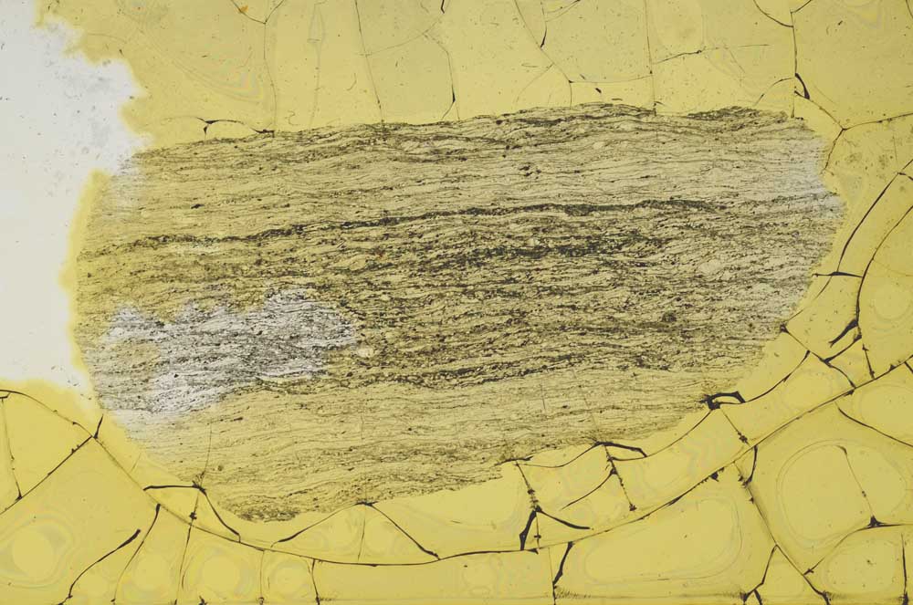 Plane Polarized, S2256