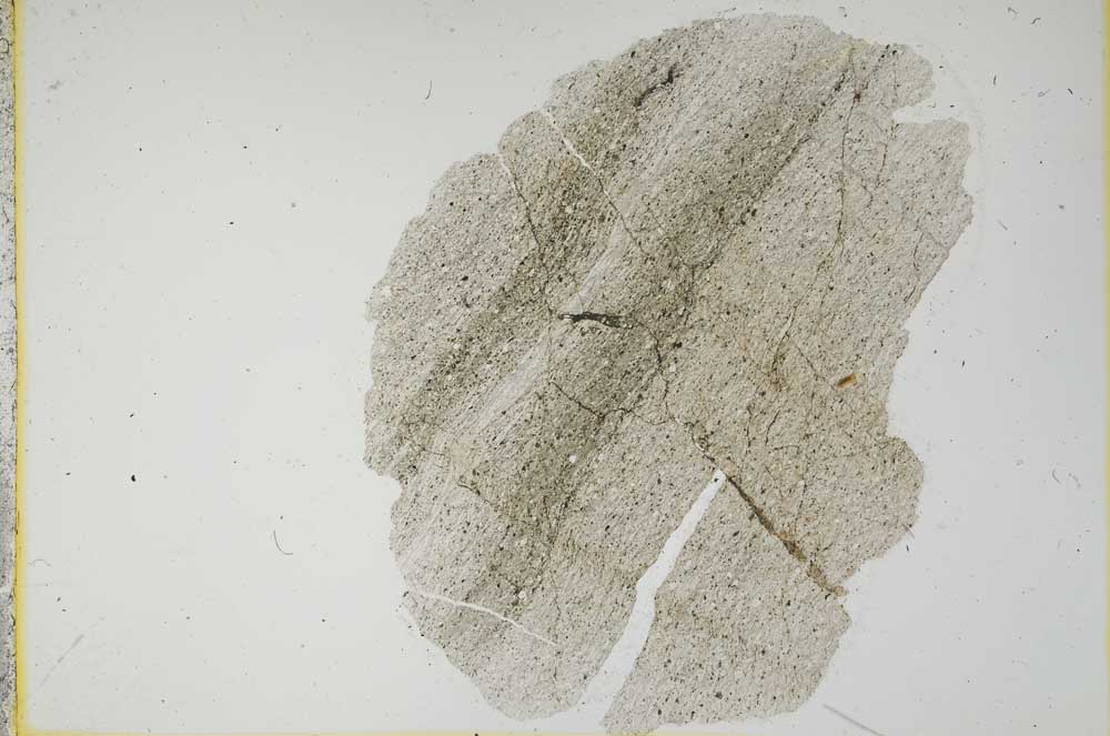 Plane Polarized, S2258