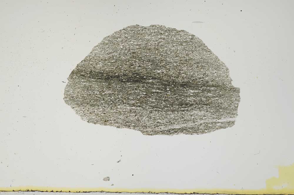 Plane Polarized, S2259