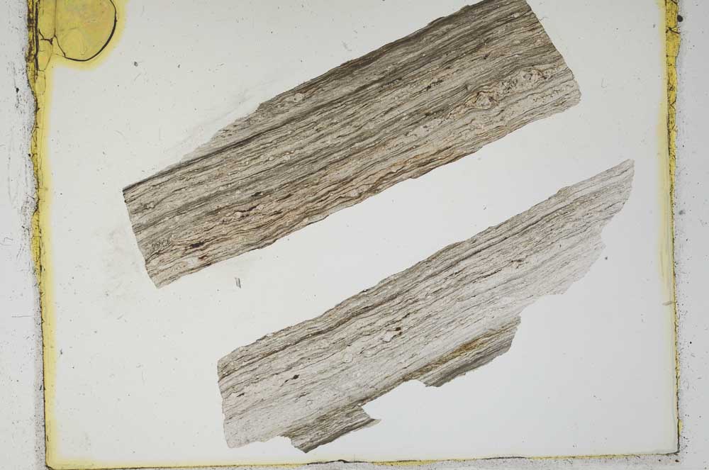 Plane Polarized, S2276