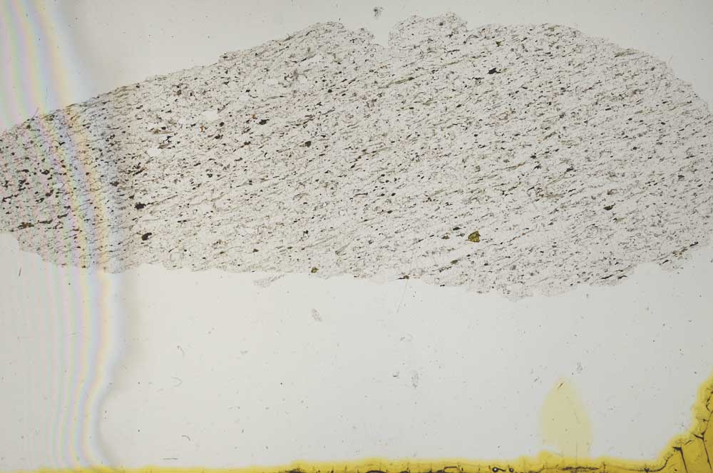 Plane Polarized, S2278
