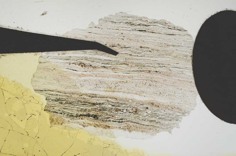 Plane Polarized, S2282