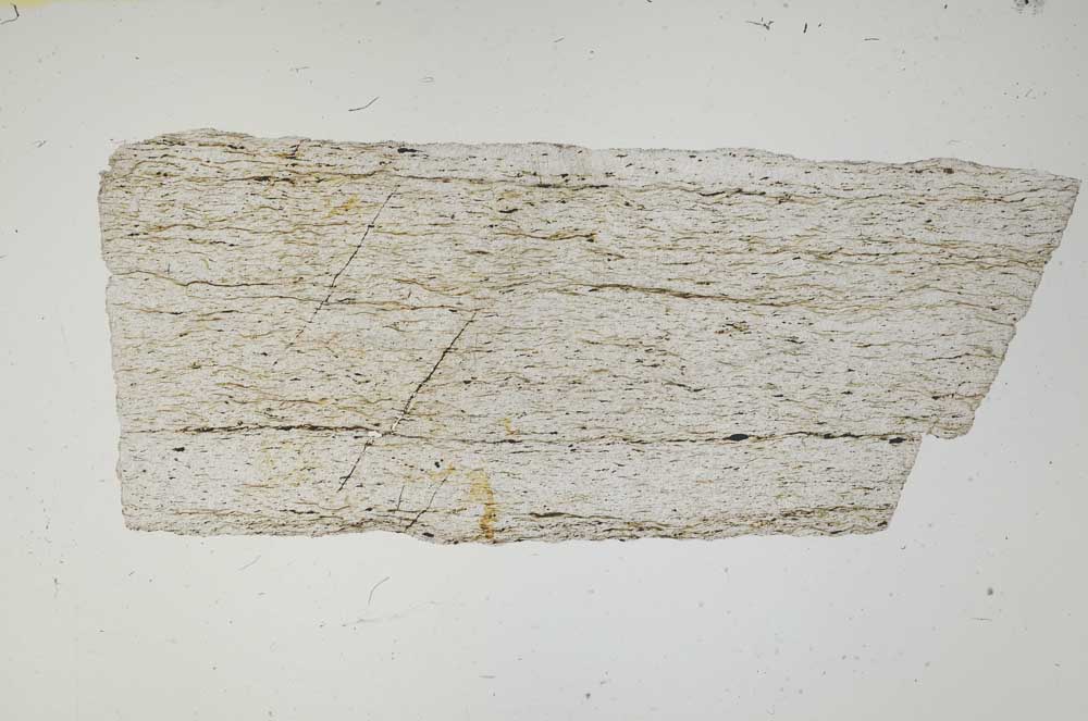 Plane Polarized, S2288