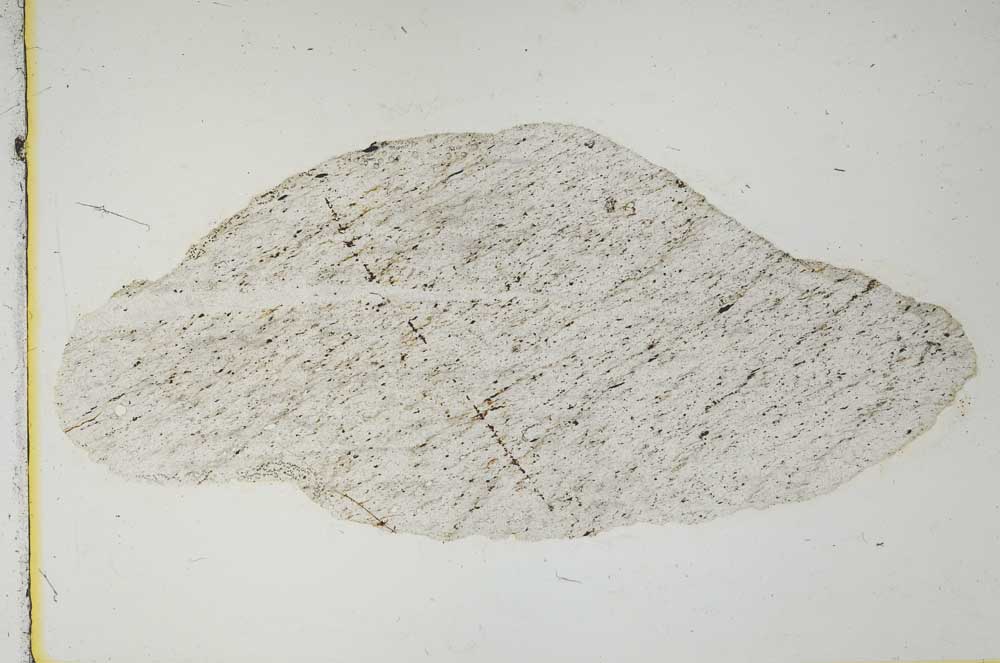 Plane Polarized, S2290