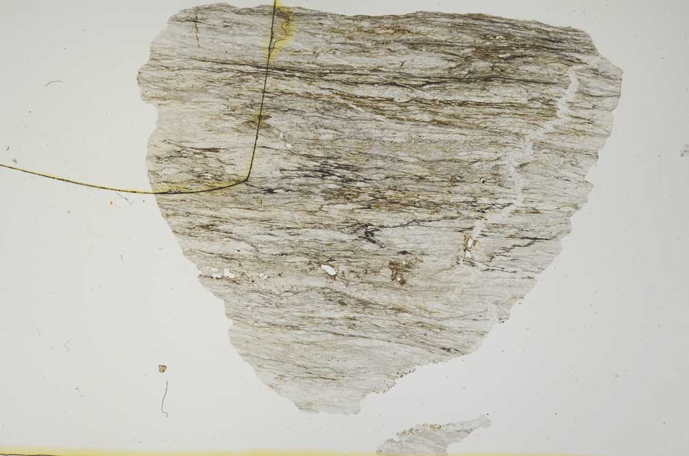 Plane Polarized, S2297