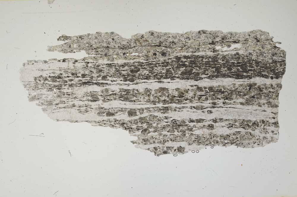 Plane Polarized, S2299