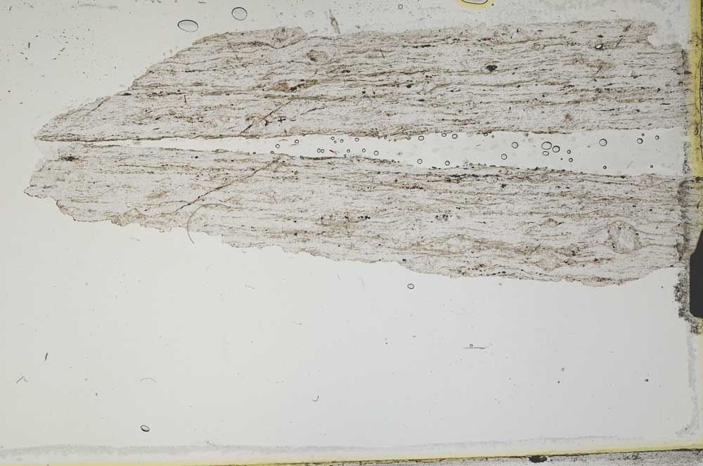 Plane Polarized, S2308
