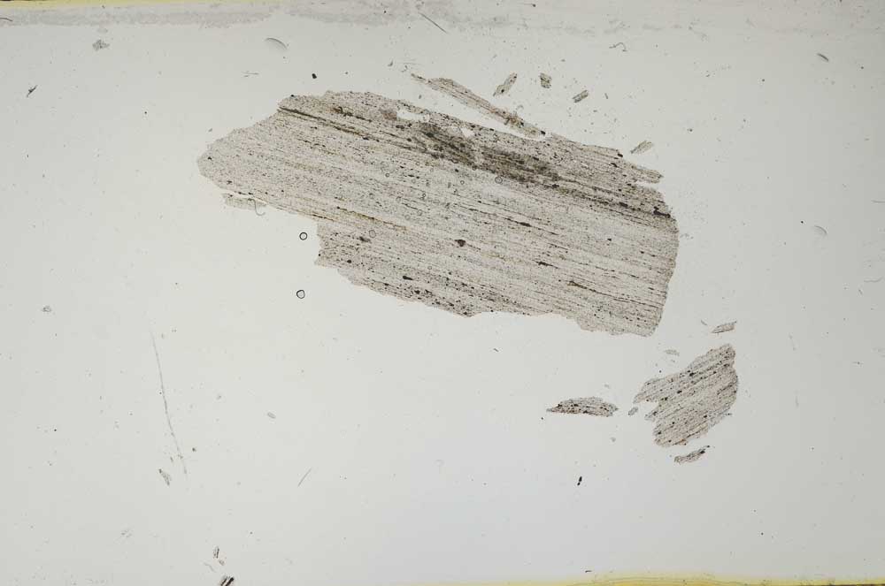 Plane Polarized, S2310
