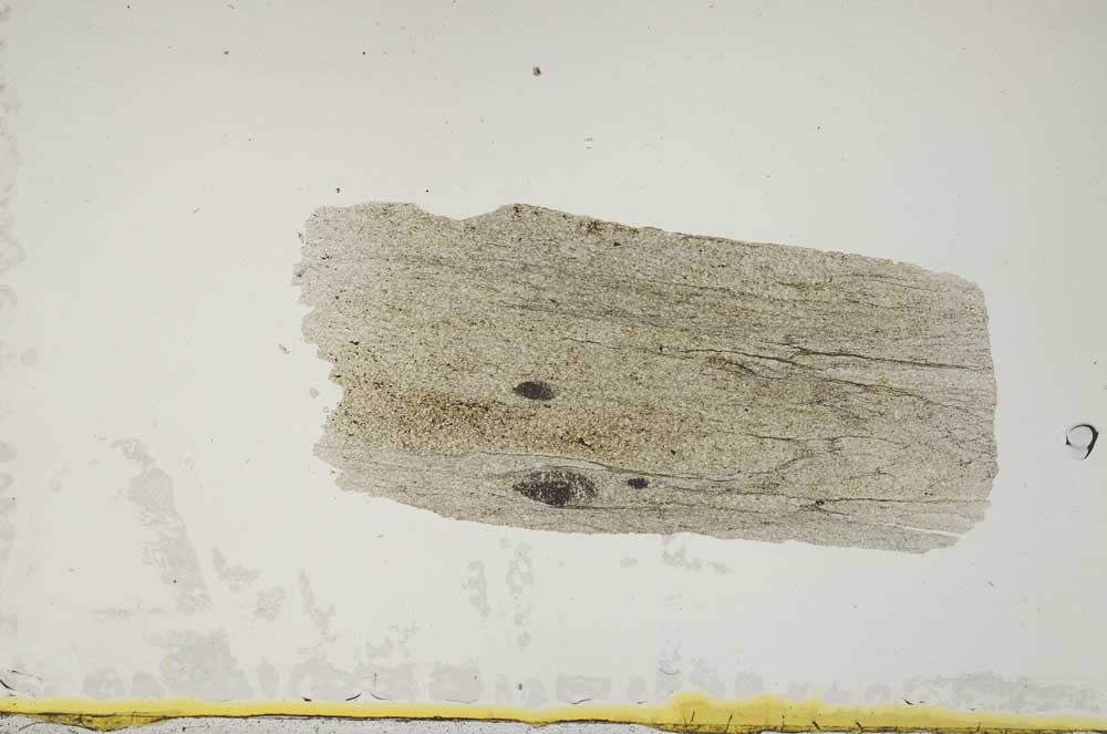 Plane Polarized, S2343