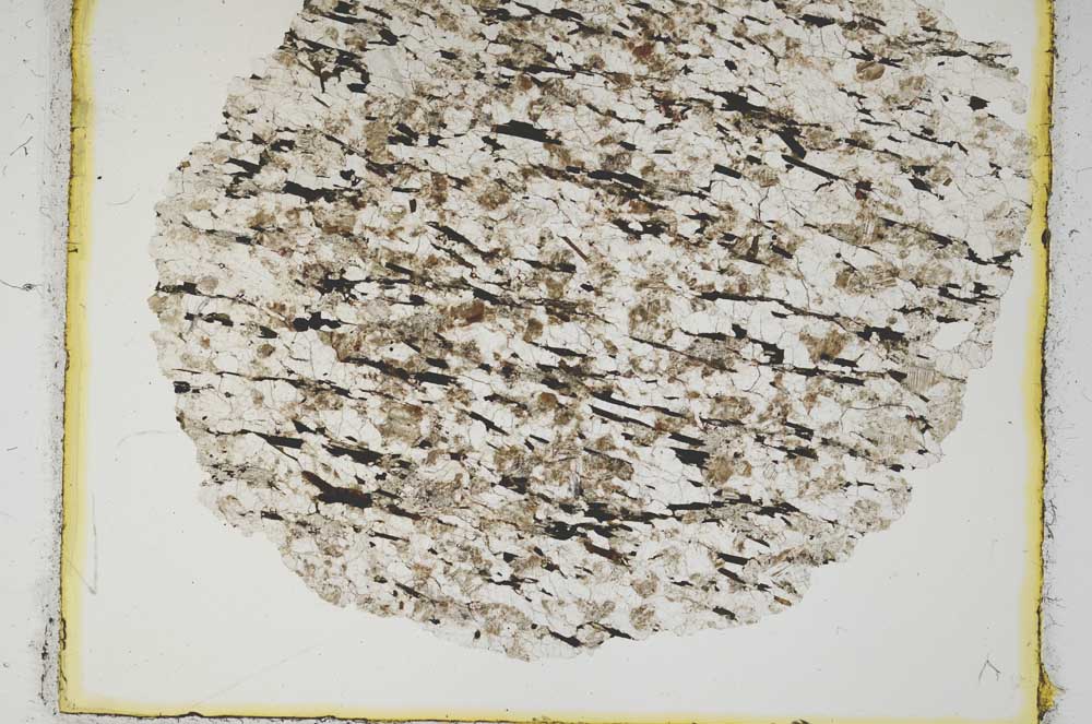 Plane Polarized, S2362