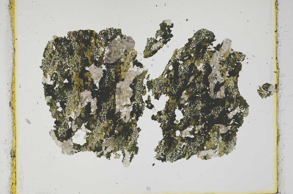 Plane Polarized, S2364