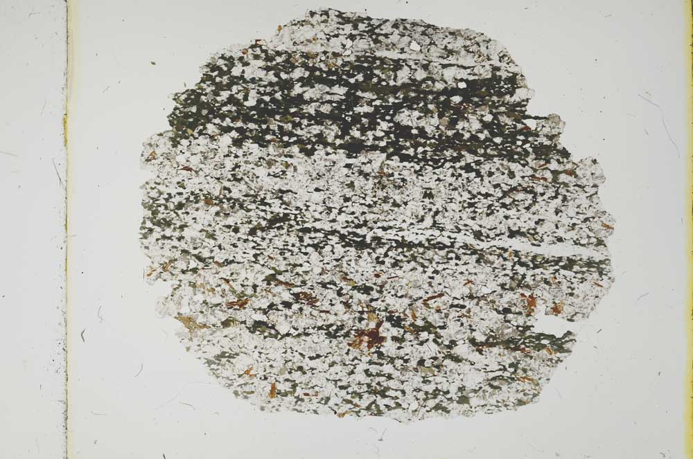 Plane Polarized, S2367