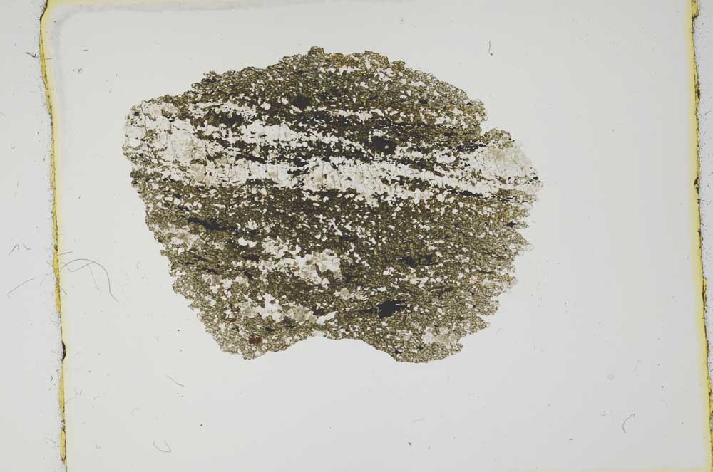 Plane Polarized, S2369