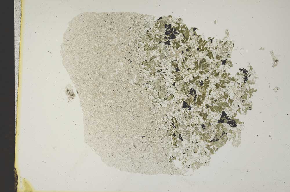 Plane Polarized, S12062