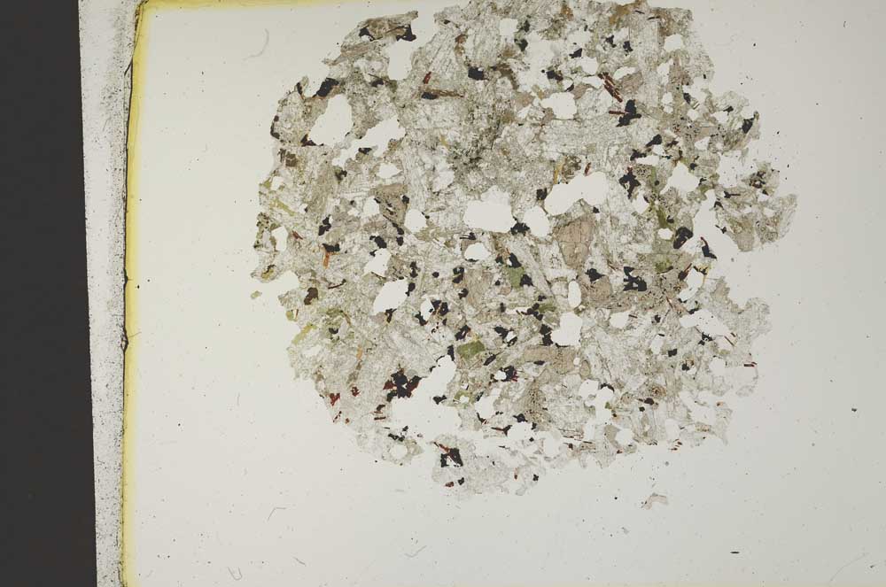 Plane Polarized, S12065