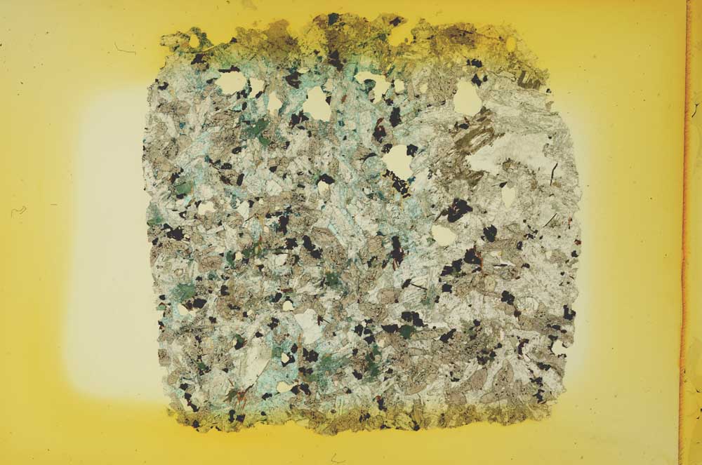 Plane Polarized, S12065/A