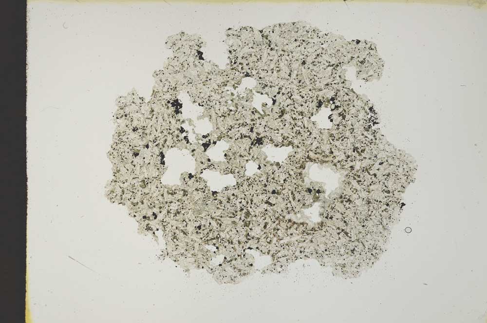 Plane Polarized, S12072