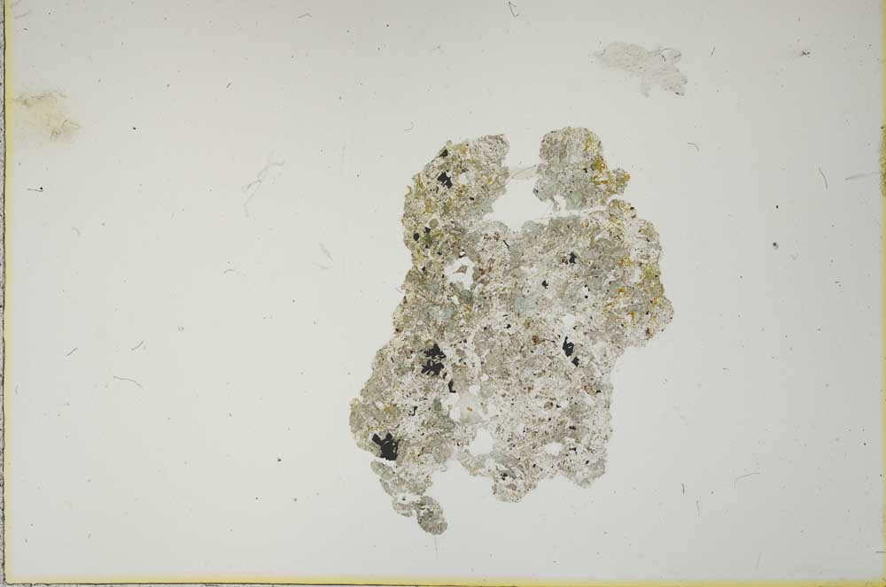 Plane Polarized, S12075