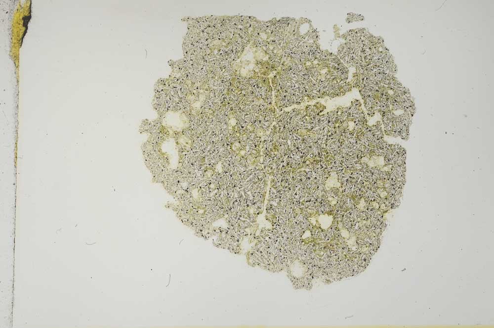 Plane Polarized, S12076