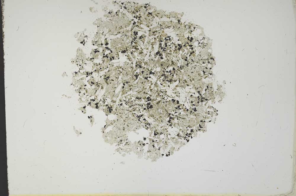 Plane Polarized, S12080