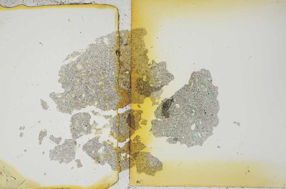 Plane Polarized, S12081